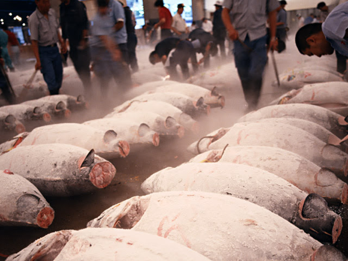 魚が市場に並んでいる